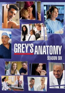 Chirurdzy (Grey’s Anatomy): Sezon 6